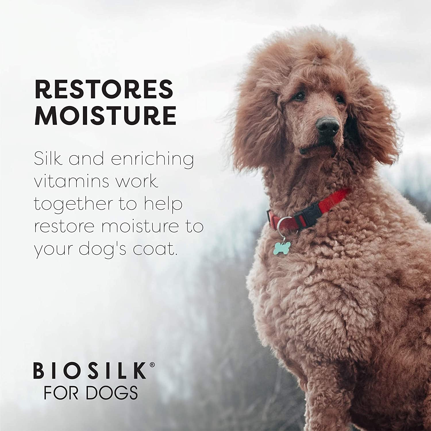 for Dogs Silk Therapy Dog Grooming Supplies, Coconut Oil - Dog Conditioner, Dog Shampoo, Puppy Shampoo, Pet Shampoo for Dogs Shampoo, Dog Wash,  Dog Spray, Dog Detangler Spray, Pet Wash