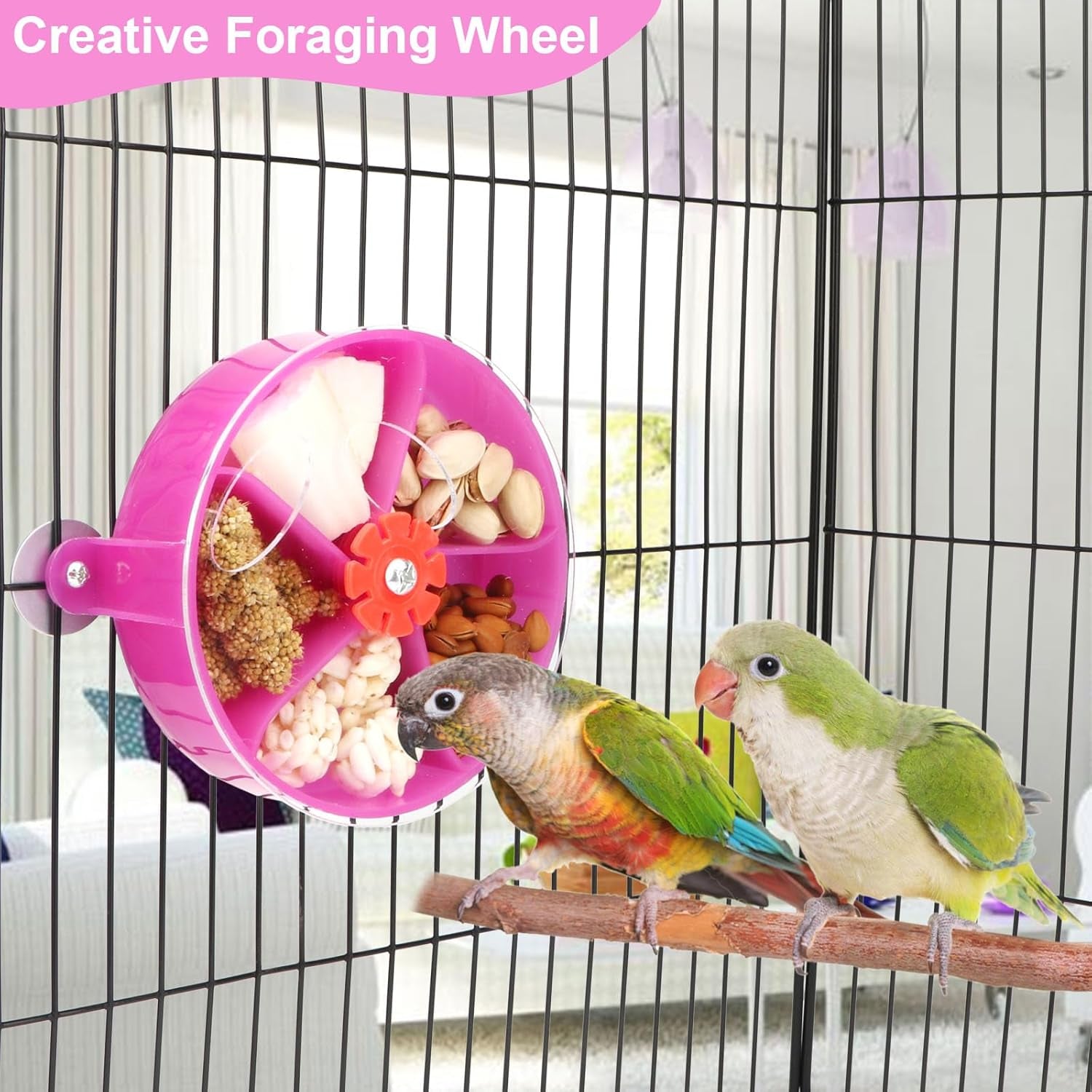 Bird Creative Foraging System Wheel Seed Food Ball Rotate Training Toy for Small and Medium Parrots Parakeet Cockatiel Conure